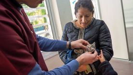Los operativos se realizarán en distintos barrios de la Ciudad. Los operativos se realizarán en distintos barrios de la Ciudad.