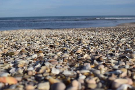 Esta playa es ideal para los que disfrutan de la naturaleza Foto: Casa Seren
