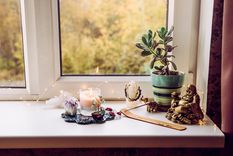 JARDÍN Para el Feng Shui, las plantas guardan energía Foto: SHUTTERSTOCK
