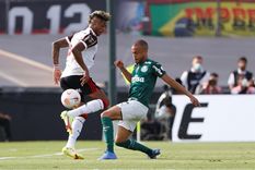 Palmeiras y Flamengo se miden en la Lima para definir al campeón de la Copa Libertadores: formaciones, hora y TV.