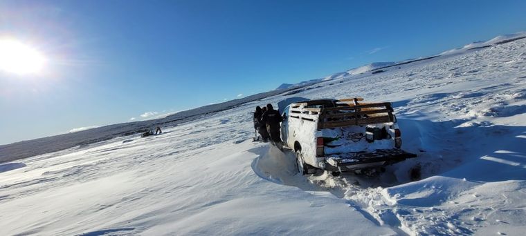 La camioneta varada en la gran nevada Foto: Gendarmería Nacional Argentina