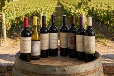 Diez Malbec para celebrar en su día.