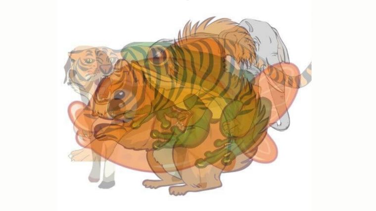 Test de personalidad Foto: Pinterest