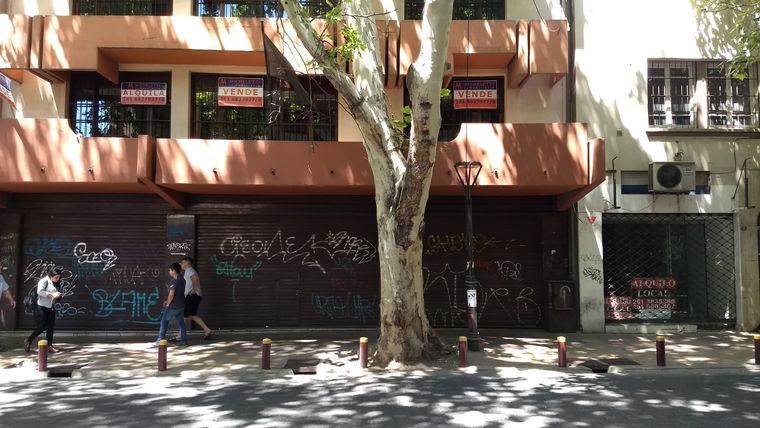 Foto: Pachy Reynoso / MDZ