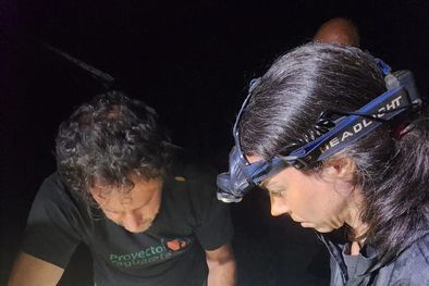 MDZol | Investigadores del Proyecto Yaguareté se encargan de monitorear la salud de Enlecha y Ararokái Foto: X