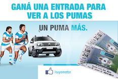 gana entradas para vos y un amigo y alenta a los pumas