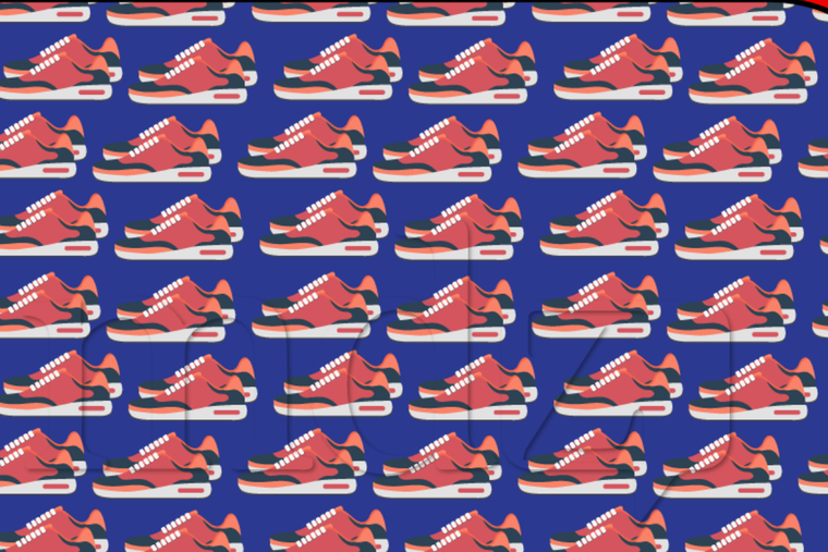 ACERTIJO VISUAL ACERTIJO VISUAL, RETO VISUAL, ZAPATILLA Foto: MDZ ONLINE