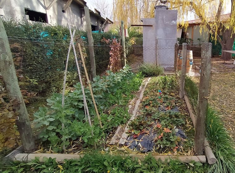 Las huertas agroecológicas son una tendencia. Foto: Gentileza INTA