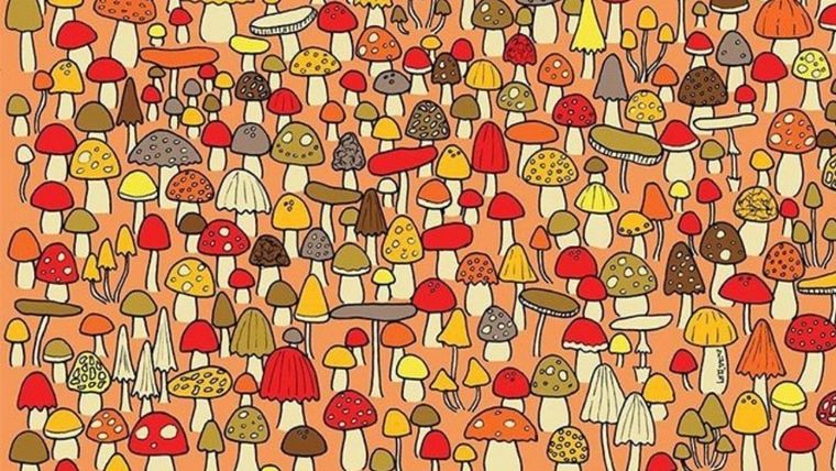 Acertijo visual, reto visual, ratón Pinterest