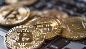 El bitcoin fue una inversión para Howells y todo fue a parar a la basura. Foto: MDZ El bitcoin fue una inversión para Howells y todo fue a parar a la basura. Foto: MDZ
