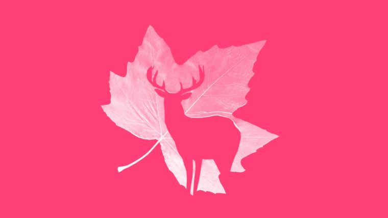 Test de personalidad