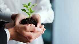 El Programa de Compromiso Ambiental Educativo busca promover la conciencia ecológica y la acción climática desde las aulas mendocinas (foto ilustrativa).