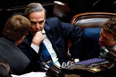 El diputado nacional Miguel Ángel Pichetto Foto: Télam