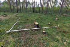 El descubrimiento se produjo apenas 90 minutos después de iniciar la excavación.