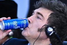 Javier Milei contraataca y pone sobre la mesa una lista de legisladores que pueden ser destituidos. Foto: EFE Javier Milei contraataca y pone sobre la mesa una lista de legisladores que pueden ser destituidos. Foto: EFE