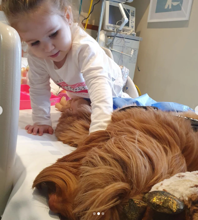 Fiorella Bersano fue diagnosticada con Atrofia Muscular Espinal (AME) tipo II, una enfermedad genética degenerativa que va matando las neuronas motoras. Foto: Campaña en Instagram Todos por Fiorella.