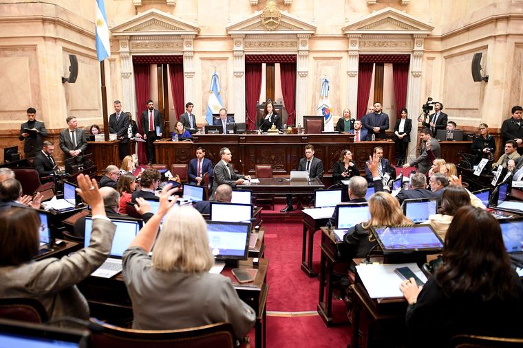 Los senadores aprobaron aumento a jubilaciones, restitución de la moratoria y declarar la emergencia en discapacidad.