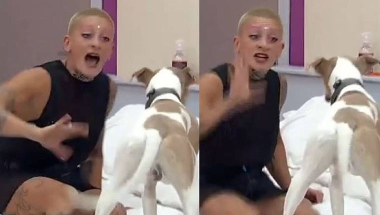 En medio de su enojo, Furia retó al perro Arturo y las redes se indignaron.
