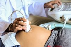 El embarazo requiere de diferentes cuidados dados los factores que pueden incidir en el estado de salud de la madre, y, por ende, en el buen desarrollo del feto. Foto: MDZ