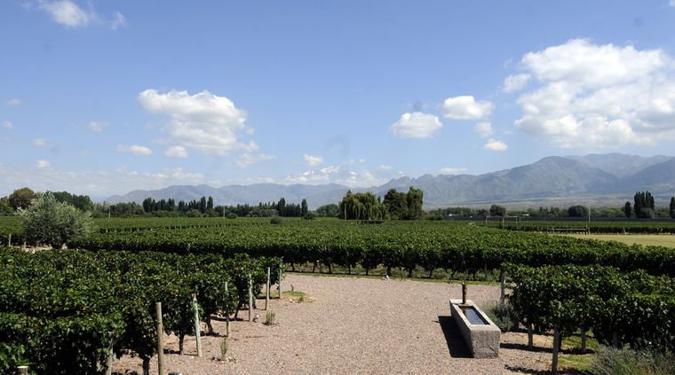 Foto: ALF PONCE MERCADO / MDZ