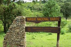 El animal fue avistado en el Parque Nacional Baritú.