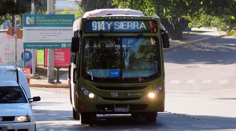 Foto: ALF PONCE MERCADO / MDZ