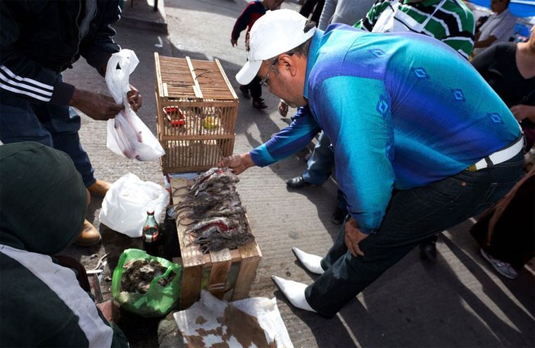 Foto: (Gentileza Diario Vanguardia)