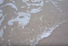 jugaban en la playa cuando aparecio algo que los conmociono