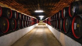 Desarrollo y tendencias: llega el cuarto encuentro sobre innovación en el vino