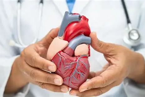 La gran mayoría de los eventos cardiovasculares pueden prevenirse mediante acciones sencillas, conscientes y perseverantes. La gran mayoría de los eventos cardiovasculares pueden prevenirse mediante acciones sencillas, conscientes y perseverantes.