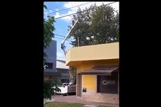 insolito: utilizaron la grua municipal para robar paltas