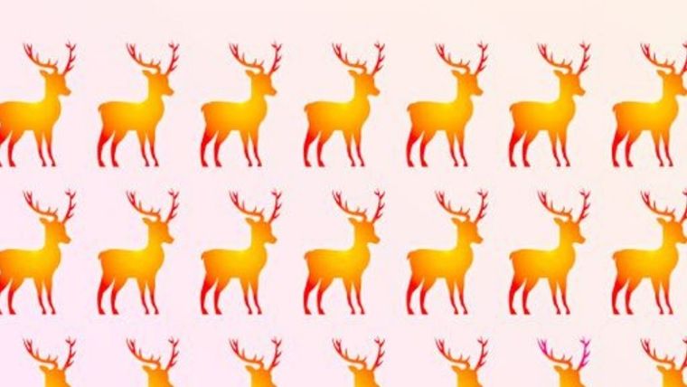 Acertijo visual, reto visual, reno Pinterest Foto: Archivo MDZ