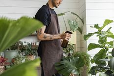 Evitar colocar a las plantas el alcohol de ajo en horas de la siesta y sol fuerte. Foto: Freepik