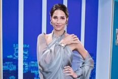 en plena veda electoral, estos seran los invitados especiales de juana viale para el fin de semana