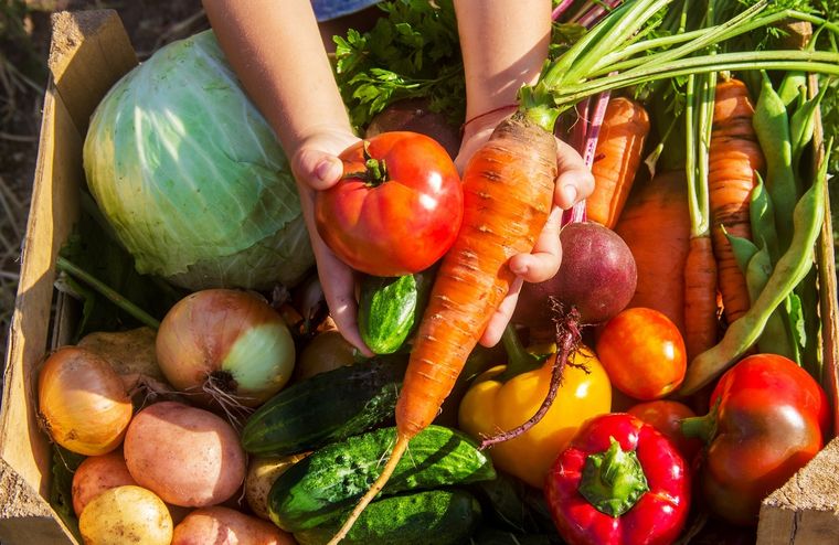 Se recomienda consumir al menos cinco porciones de frutas y verduras al día. Foto: Shutterstock