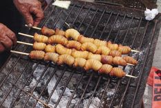 Puede ser algo impresionante, pero insectos a la parrilla es actualmente un plato muy solicitado dentro de la entomofagia.