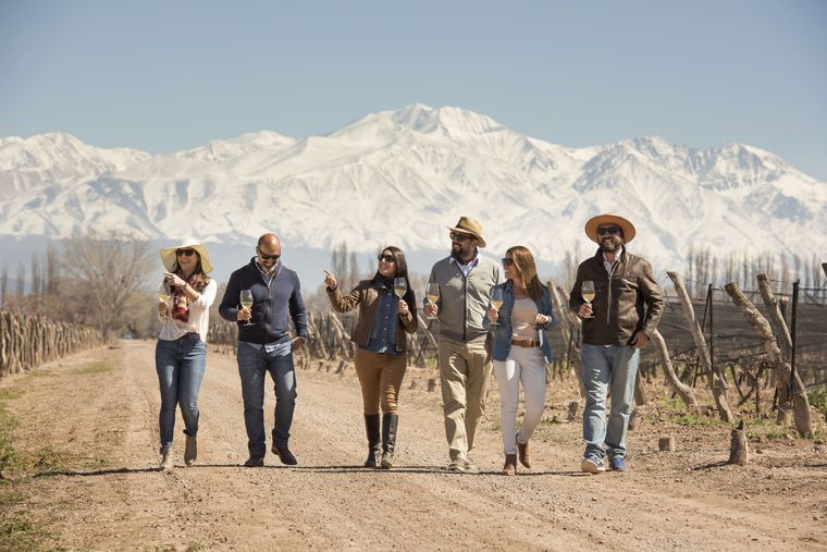Desde el 7 de junio, los mendocinos podrán visitar gratis bodegas de la provincia.