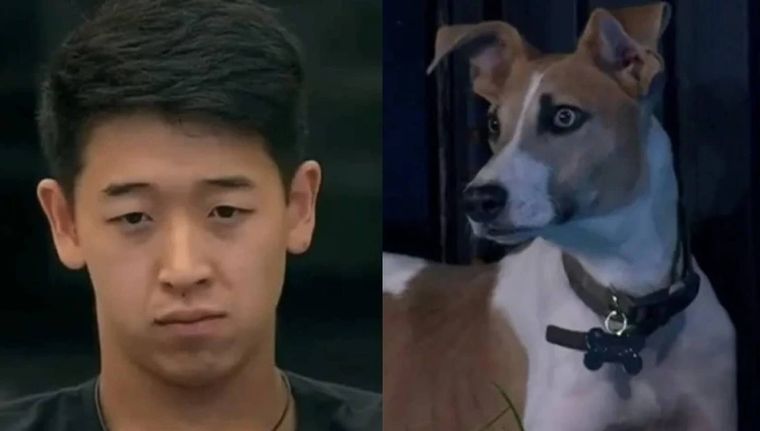 Arturo mordió a Martín Ku y generó un nuevo debate en las redes sociales.