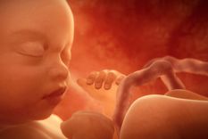 retrasar el corte del cordon umbilical mejora el desarrollo