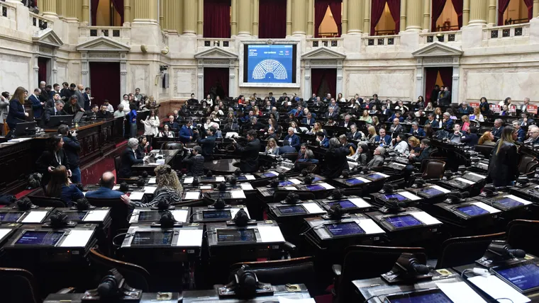En Diputados se espera una maratónica sesión para tratar los vetos de Javier Milei.