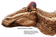 Foto: Revista Current Biology Foto: Revista Current Biology