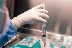 Los bacteriófagos o terapia de fagos es una alternativas a los antibióticos, pero en muchos países aún no está aprobado su aplicación.