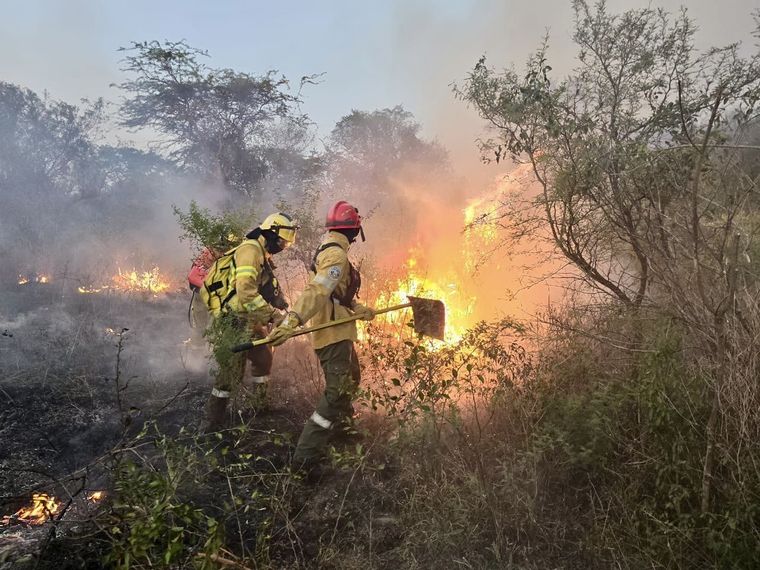 Decenas de brigadistas, policías y bomberos de la provincia trabajan para combatir el fuego Foto: X @CorrientesGob