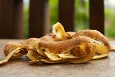 Una forma de reutilizar la cáscara de papa.