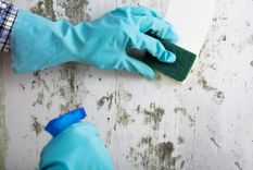 La humedad del baño atrae el moho a las superficies. Foto: Shutterstock La humedad del baño atrae el moho a las superficies. Foto: Shutterstock