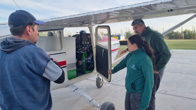 A medida que las condiciones ambientales evolucionen, se espera ampliar la densidad de liberaciones a los cuatro oasis productivos. Foto: Ciudad de Mendoza