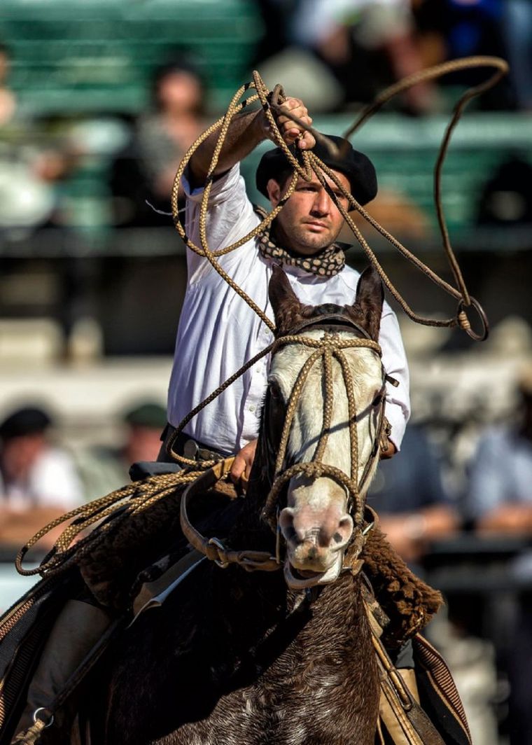 En la Exposición Rural pueden verse exhibiciones de distintos juegos y deportes criollos Foto: Sociedad Rural Argentina
