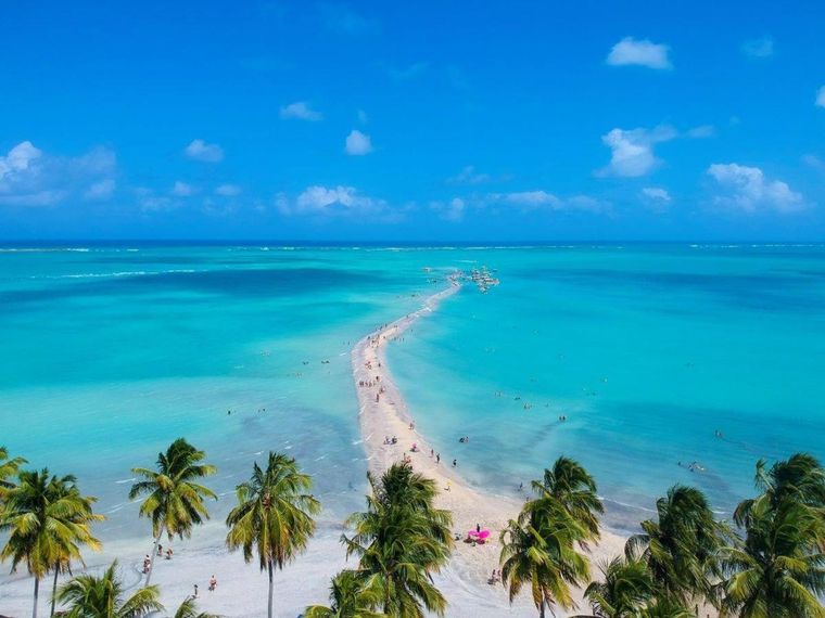 Las playas de Brasil atraen a los argentinos año a año Foto: Booking