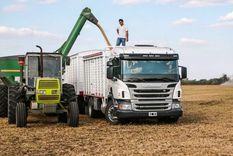 trasnacionales de granos pierden ganancias