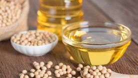 Sube el precio del aceite de soja: buenas noticias para el Banco Central Sube el precio del aceite de soja: buenas noticias para el Banco Central
